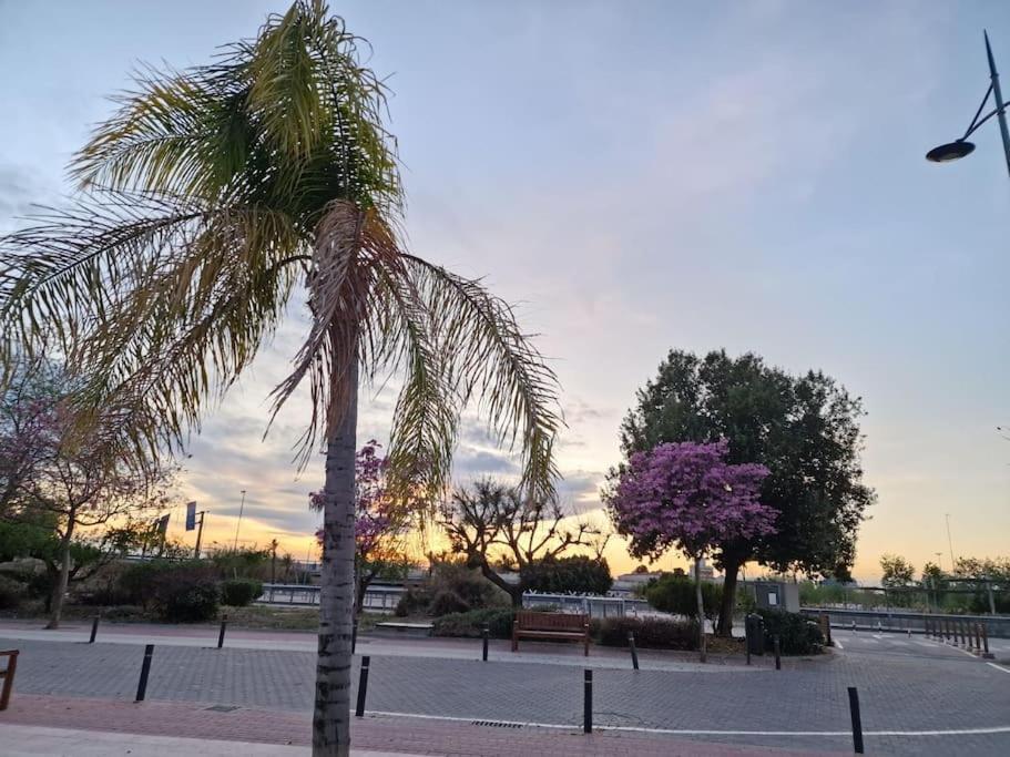 Apartamento Jacaranda Murcia Bagian luar foto